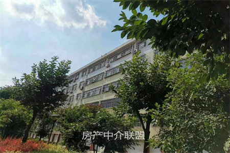 东升龙华园套三带附房车位83万102m2出售